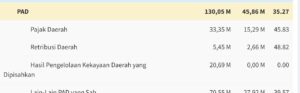 Progres Penerimaan PAD Semester 1 Lamban, Sekretaris Bappenda: Itu Betul