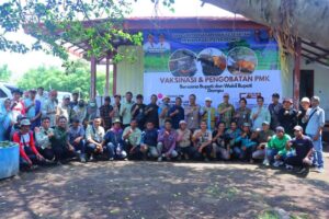 Bupati Dompu Pimpin Vaksinasi PMK di Kawasan Pelepasan Ternak Doro Ncanga