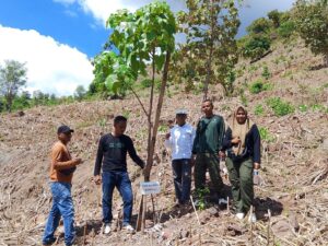 BKPH Wilayah VI Fokus Pengawasan Hutan dan Pemantauan Demplot di KH Riwo